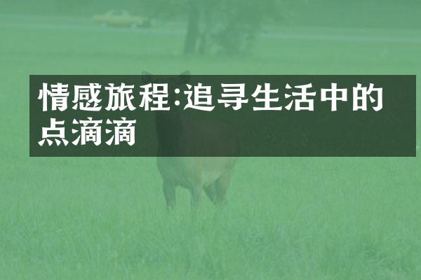 情感旅程:追寻生活中的点点滴滴