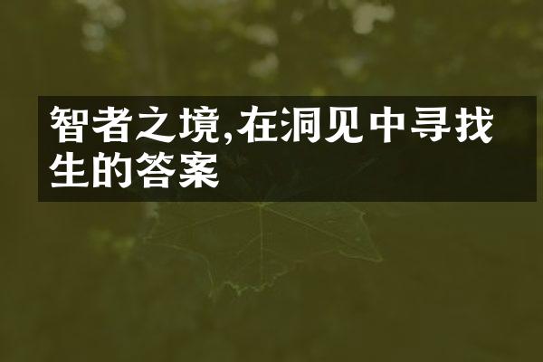 智者之境,在洞见中寻找人生的答案