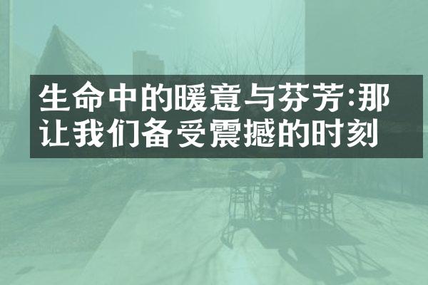 生命中的暖意与芬芳:那些让我们备受震撼的时刻