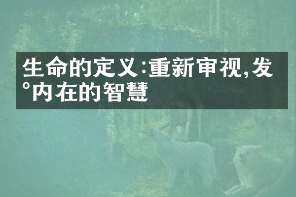 生命的定义:重新审视,发现内在的智慧