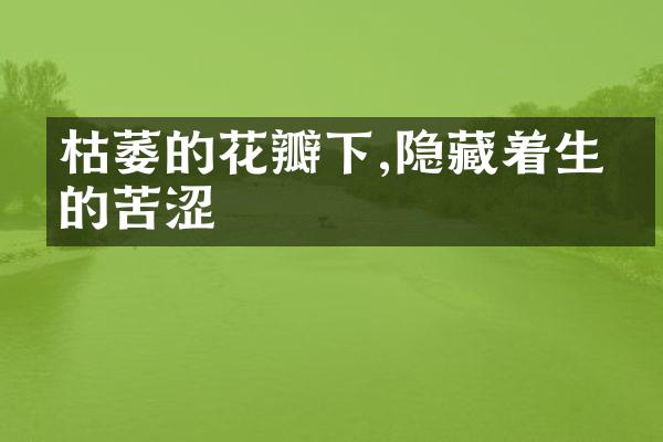 枯萎的花瓣下,隐藏着生命的苦涩