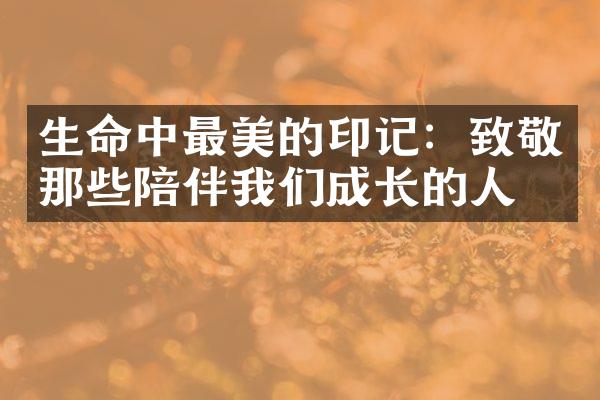 生命中最美的印记:致敬那些陪伴我们成长的人