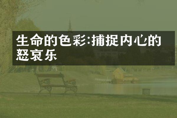生命的色彩:捕捉内心的喜怒哀乐
