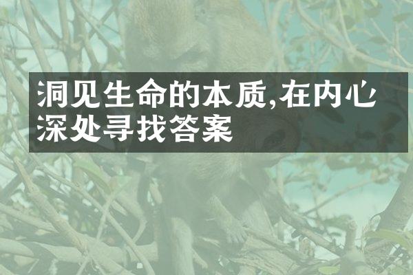 洞见生命的本质,在内心的深处寻找答案