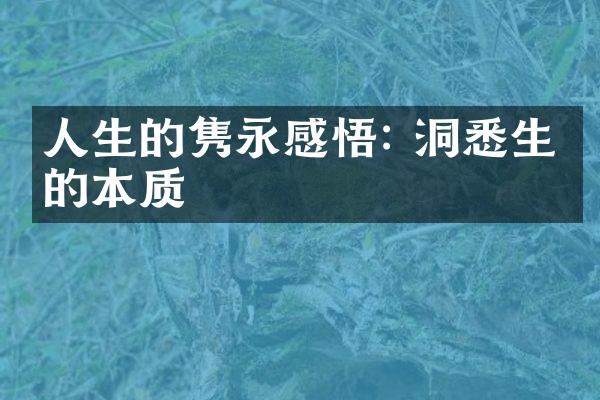 人生的隽永感悟: 洞悉生命的本质