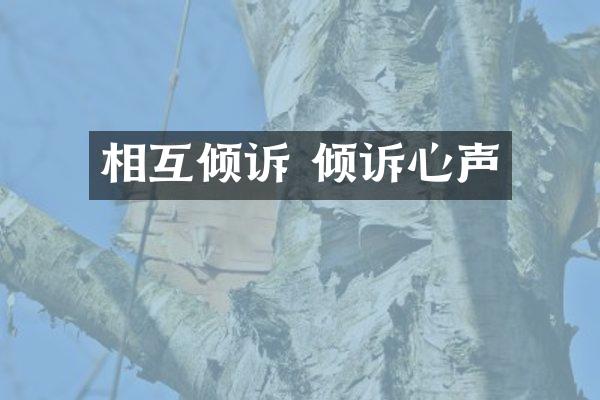 相互倾诉 倾诉心声