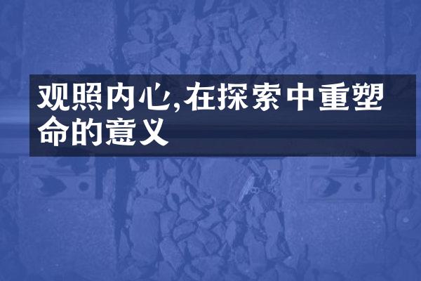 观照内心,在探索中重塑生命的意义