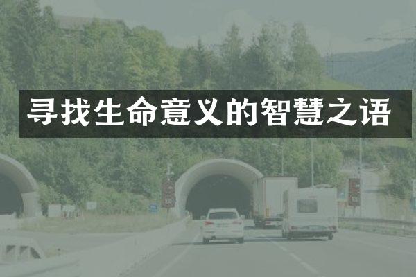 寻找生命意义的智慧之语