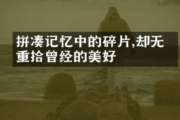 拼凑记忆中的碎片,却无法重拾曾经的美好