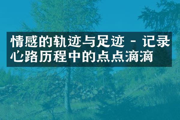 情感的轨迹与足迹 - 记录心路中的点点滴滴