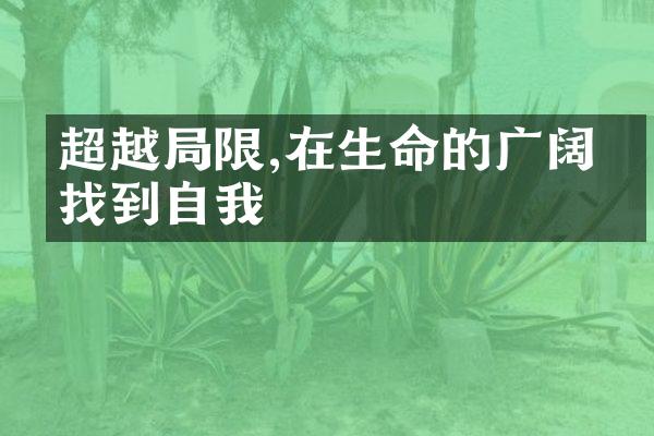 超越限,在生命的广阔中找到自我