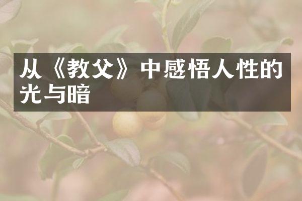 从《教父》中感悟人性的光与暗