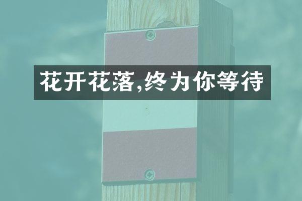 花开花落,终为你等待