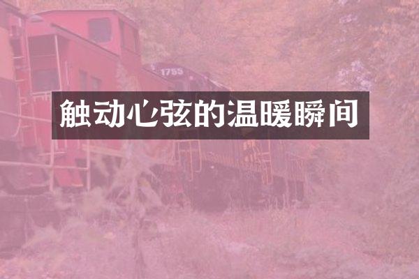 触动心弦的温暖瞬间