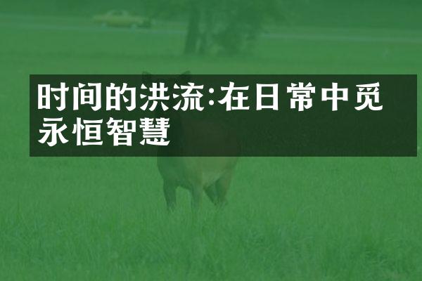 时间的洪流:在日常中觅得永恒智慧