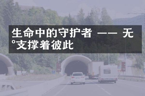 生命中的守护者 &mdash;&mdash; 无声支撑着彼此