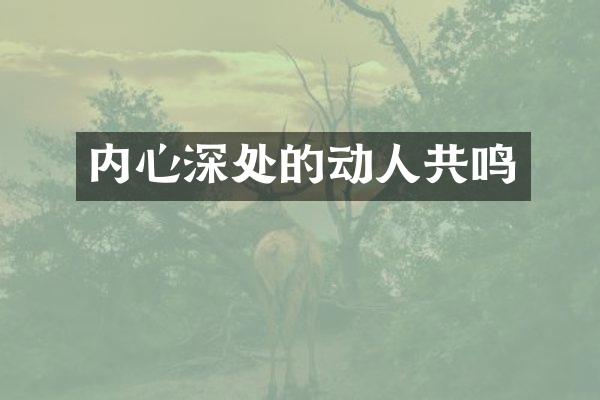 内心深处的动人共鸣