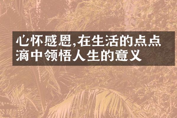 心怀感恩,在生活的点点滴滴中领悟人生的意义