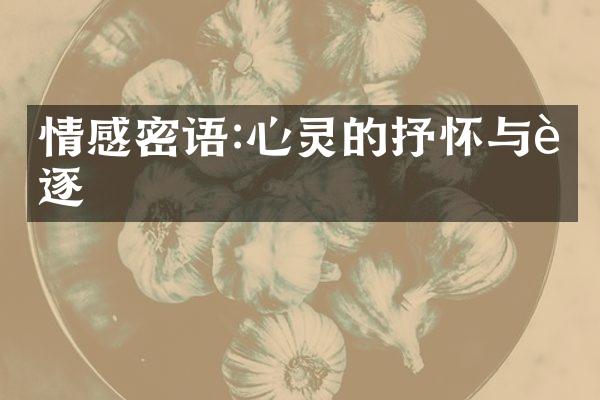 情感密语:心灵的抒怀与追逐