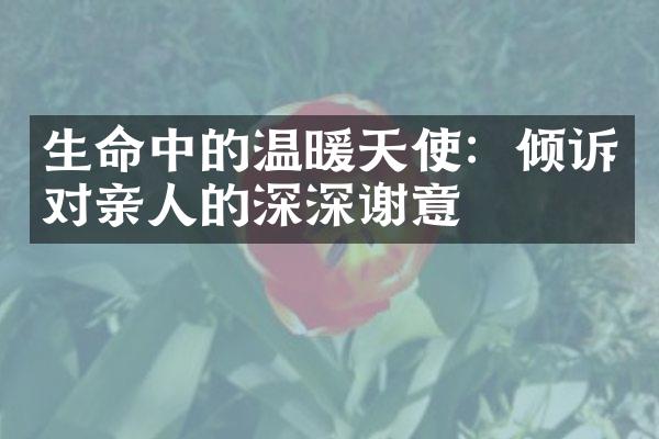 生命中的温暖天使：倾诉对亲人的深深谢意