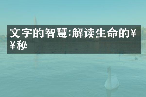 文字的智慧:解读生命的奥秘