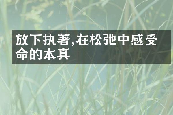 放下执著,在松弛中感受生命的本真