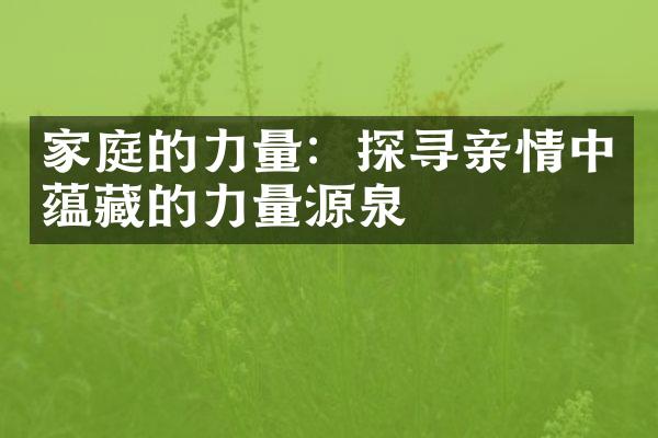 家庭的力量：探寻亲情中蕴藏的力量源泉