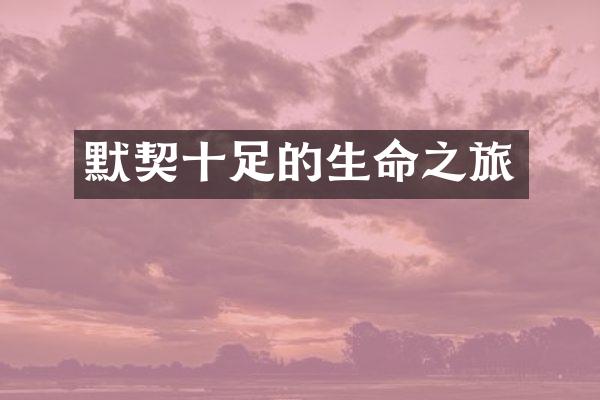 默契十足的生命之旅