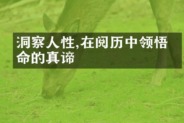 洞察人性,在阅历中领悟生命的真谛