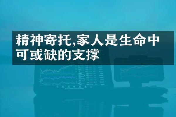 精神寄托,家人是生命中不可或缺的支撑