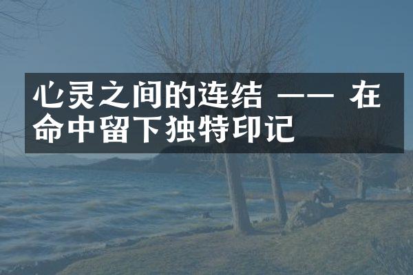 心灵之间的连结 &mdash;&mdash; 在生命中留下独特印记
