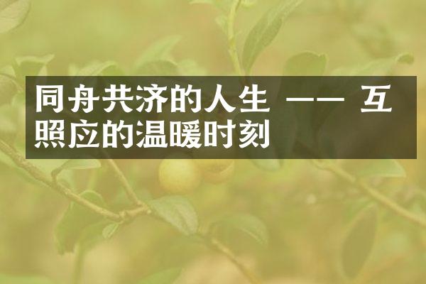 同舟共济的人生 &mdash;&mdash; 互相照应的温暖时刻