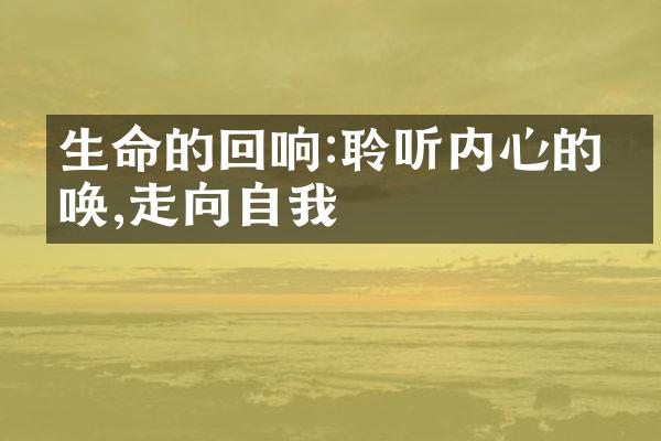 生命的回响:聆听内心的呼唤,走向自我