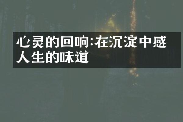 心灵的回响:在沉淀中感受人生的味道