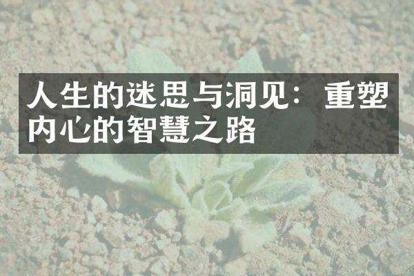 人生的迷思与洞见：重塑内心的智慧之路