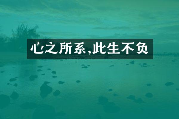 心之所系,此生不负