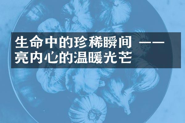 生命中的珍稀瞬间 —— 点亮内心的温暖光芒