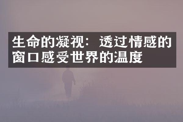 生命的凝视：透过情感的窗口感受世界的温度