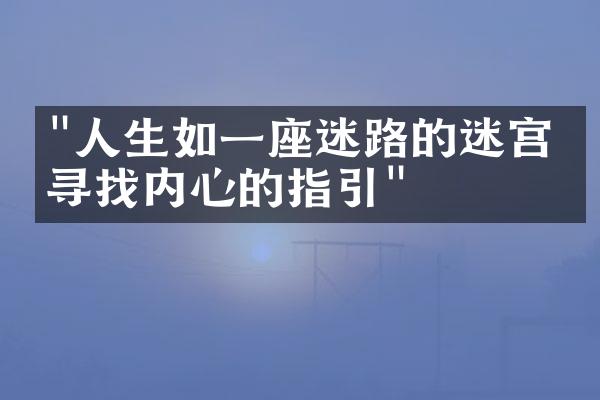"人生如一座迷路的迷宫，寻找内心的指引"