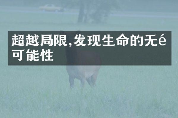 超越限,发现生命的无限可能性