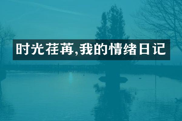 时光荏苒,我的情绪日记