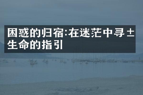 困惑的归宿:在迷茫中寻求生命的指引