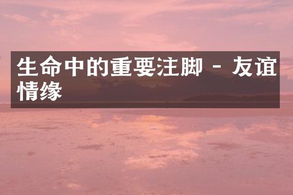 生命中的重要注脚 - 友谊情缘