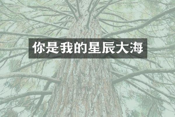 你是我的星辰大海