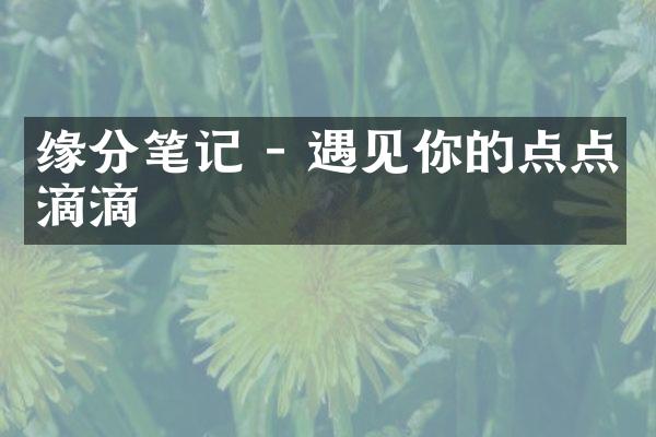 缘分笔记 - 遇见你的点点滴滴