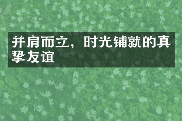 并肩而立，时光铺就的真挚友谊