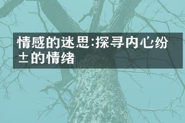 情感的迷思:探寻内心纷乱的情绪