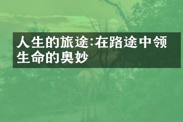 人生的旅途:在路途中领悟生命的奥妙