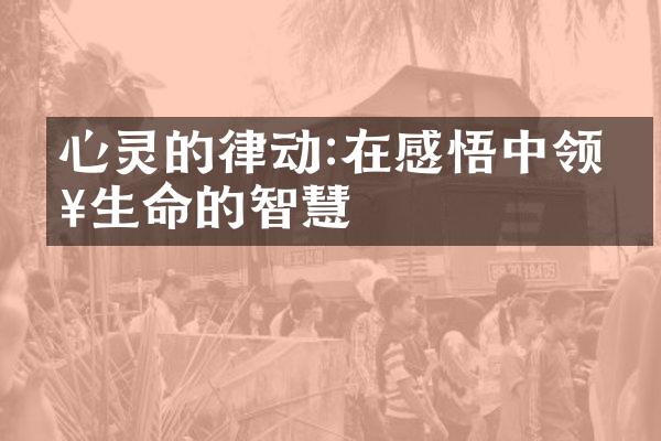 心灵的律动:在感悟中领略生命的智慧