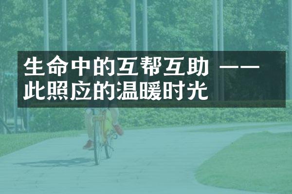 生命中的互帮互助 &mdash;&mdash; 彼此照应的温暖时光